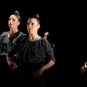 Fotografía de La muerte del deseo - Conservatorio de Danza