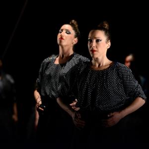Fotografía de La muerte del deseo - Conservatorio de Danza