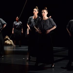Fotografía de La muerte del deseo - Conservatorio de Danza