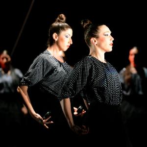Fotografía de La muerte del deseo - Conservatorio de Danza