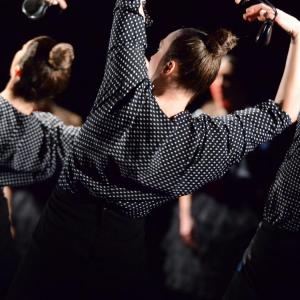 Fotografía de La muerte del deseo - Conservatorio de Danza