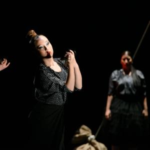 Fotografía de La muerte del deseo - Conservatorio de Danza