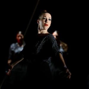 Fotografía de La muerte del deseo - Conservatorio de Danza