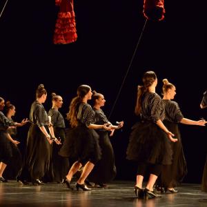 Fotografía de La muerte del deseo - Conservatorio de Danza