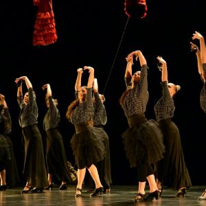 Fotografía de La muerte del deseo - Conservatorio de Danza