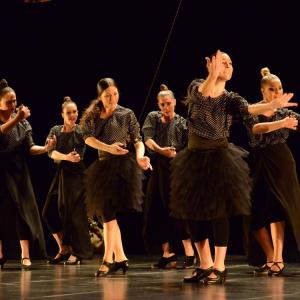 Fotografía de La muerte del deseo - Conservatorio de Danza