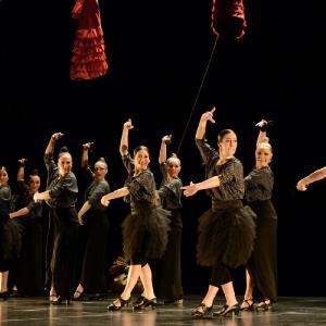 Fotografía de La muerte del deseo - Conservatorio de Danza