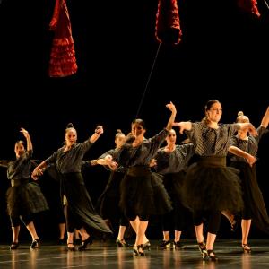 Fotografía de La muerte del deseo - Conservatorio de Danza
