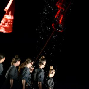 Fotografía de La muerte del deseo - Conservatorio de Danza