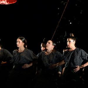 Fotografía de La muerte del deseo - Conservatorio de Danza