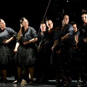 Fotografía de La muerte del deseo - Conservatorio de Danza