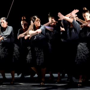 Fotografía de La muerte del deseo - Conservatorio de Danza