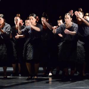 Fotografía de La muerte del deseo - Conservatorio de Danza