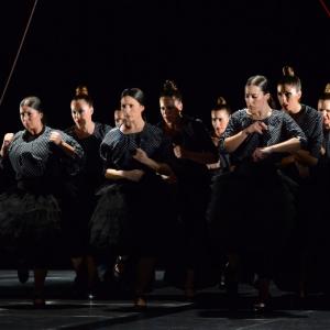 Fotografía de La muerte del deseo - Conservatorio de Danza