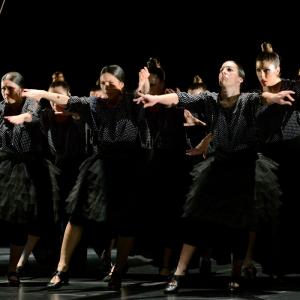 Fotografía de La muerte del deseo - Conservatorio de Danza