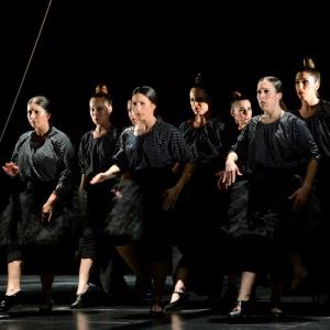 Fotografía de La muerte del deseo - Conservatorio de Danza