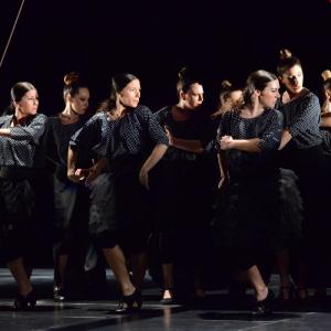 Fotografía de La muerte del deseo - Conservatorio de Danza