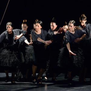 Fotografía de La muerte del deseo - Conservatorio de Danza