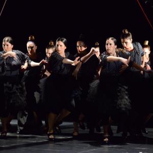 Fotografía de La muerte del deseo - Conservatorio de Danza
