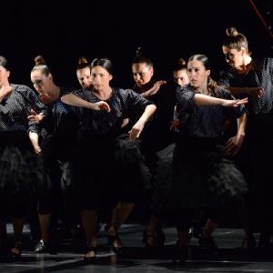 Fotografía de La muerte del deseo - Conservatorio de Danza