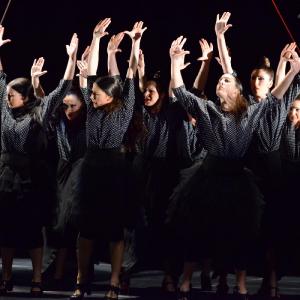 Fotografía de La muerte del deseo - Conservatorio de Danza
