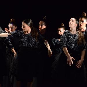 Fotografía de La muerte del deseo - Conservatorio de Danza