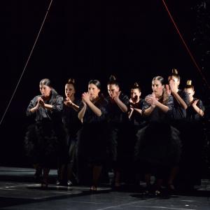 Fotografía de La muerte del deseo - Conservatorio de Danza