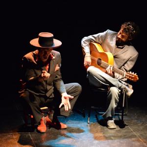 Fotografía de El flamenco en ansí - El Pelito