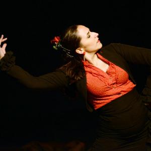 Fotografía de El flamenco en ansí - El Pelito