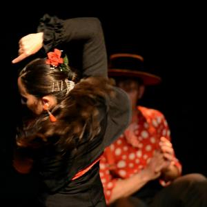 Fotografía de El flamenco en ansí - El Pelito