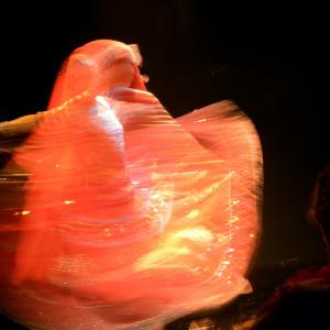 Fotografía de Jornadas de danza india - Ekadâ