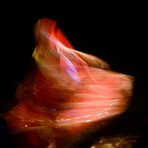 Fotografía de Jornadas de danza india - Ekadâ