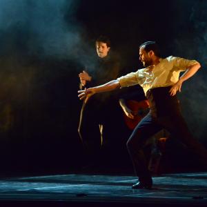 Fotografía de No Pausa (estreno) - Daniel Doña