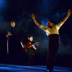 Fotografía de No Pausa (estreno) - Daniel Doña