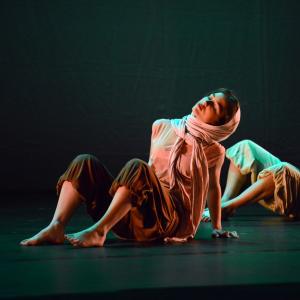Fotografía de Diez - 4x4 Multidanza