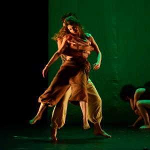 Fotografía de Diez - 4x4 Multidanza