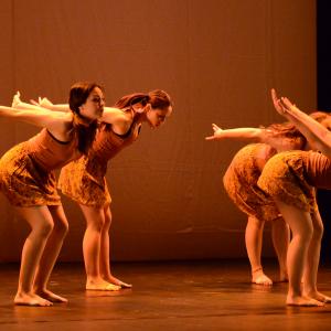 Fotografía de Diez - 4x4 Multidanza