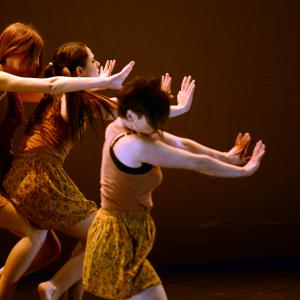 Fotografía de Diez - 4x4 Multidanza