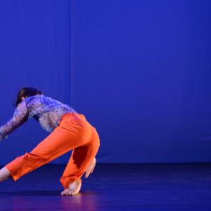 Fotografía de Diez - 4x4 Multidanza