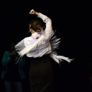 Fotografía de Muestra de Graduación en el Conservatorio de Danza - Conservatorio de Danza