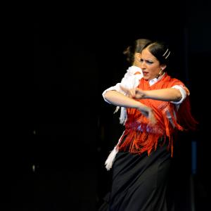 Fotografía de Muestra de Graduación en el Conservatorio de Danza - Conservatorio de Danza