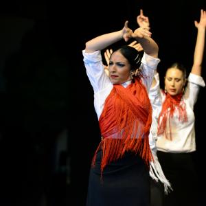 Fotografía de Muestra de Graduación en el Conservatorio de Danza - Conservatorio de Danza