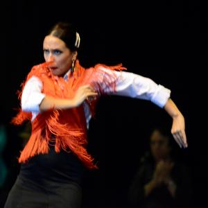 Fotografía de Muestra de Graduación en el Conservatorio de Danza - Conservatorio de Danza