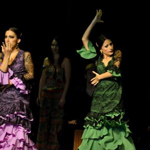 Fotografía de Muestra de Graduación en el Conservatorio de Danza - Conservatorio de Danza