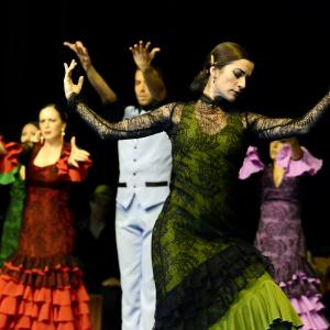 Fotografía de Muestra de Graduación en el Conservatorio de Danza - Conservatorio de Danza