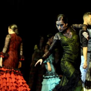 Fotografía de Muestra de Graduación en el Conservatorio de Danza - Conservatorio de Danza