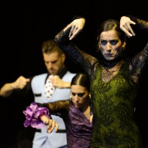 Fotografía de Muestra de Graduación en el Conservatorio de Danza - Conservatorio de Danza