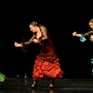 Fotografía de Muestra de Graduación en el Conservatorio de Danza - Conservatorio de Danza