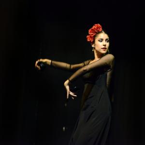 Fotografía de Muestra de Graduación en el Conservatorio de Danza - Conservatorio de Danza