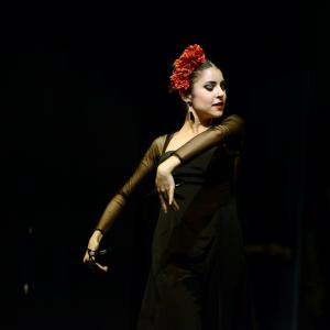 Fotografía de Muestra de Graduación en el Conservatorio de Danza - Conservatorio de Danza